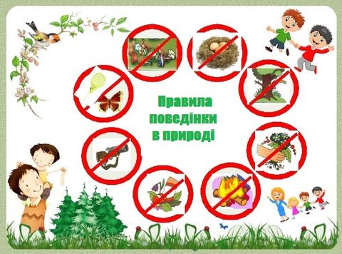 Кожному відвідувачу лісу необхідно знати правила поведінки в лісі - Новоселицький ліцей №1 Новоселицької міської ради