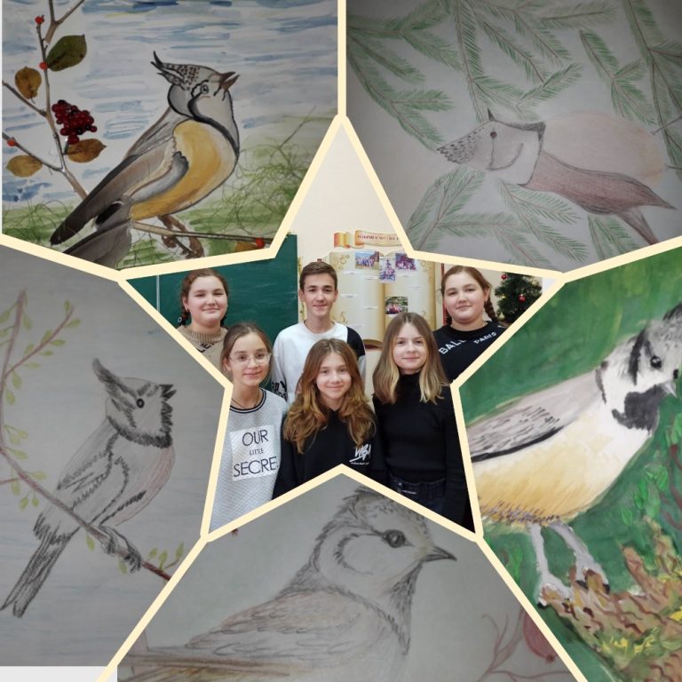 MyCollages