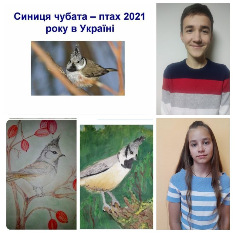 MyCollages