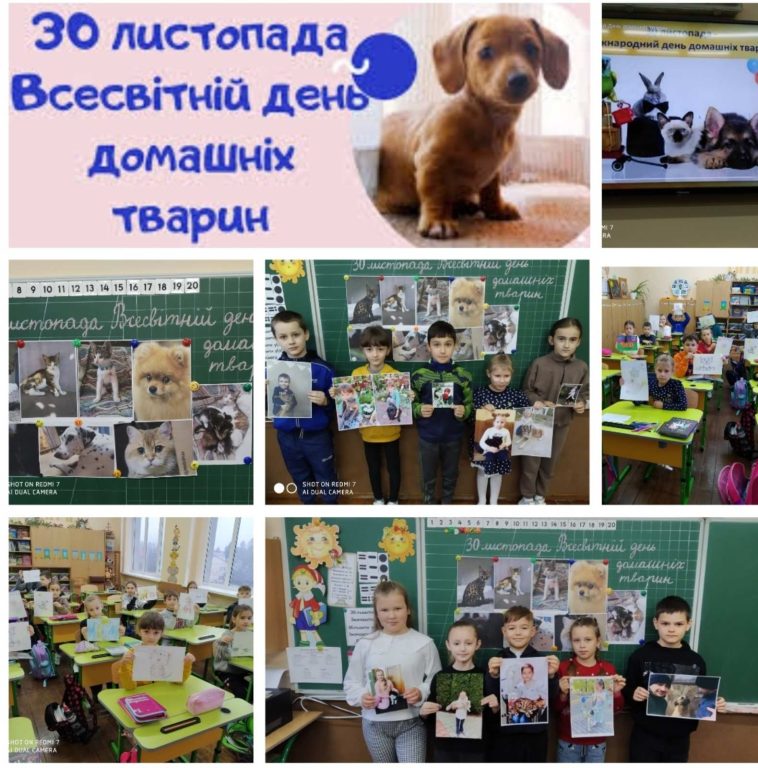 Всесвітній день домашніх тварин изображение_viber_2022-11-29_11-13-28-528