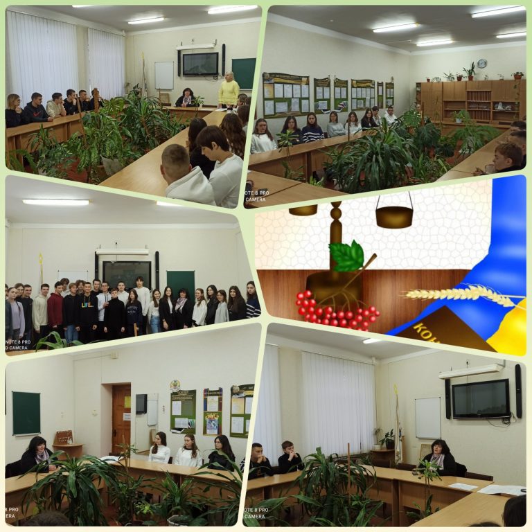 изображение_viber_2022-12-14_14-09-03-996