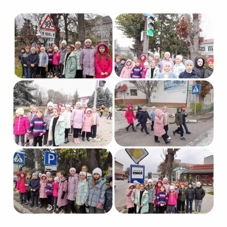 Ми - пішоходи зображення_viber_2023-11-09_06-40-16-260