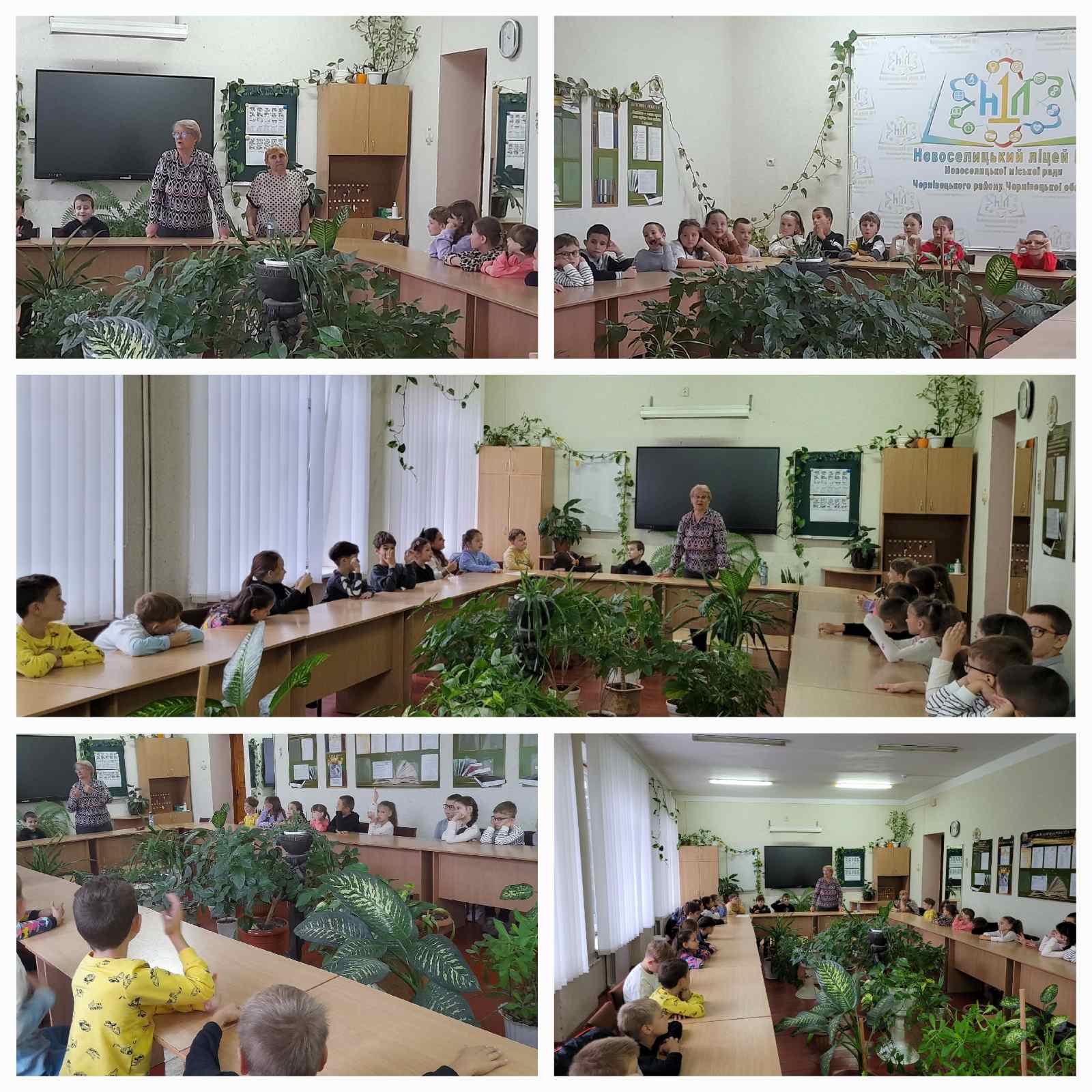 Мудрі й багаті літами