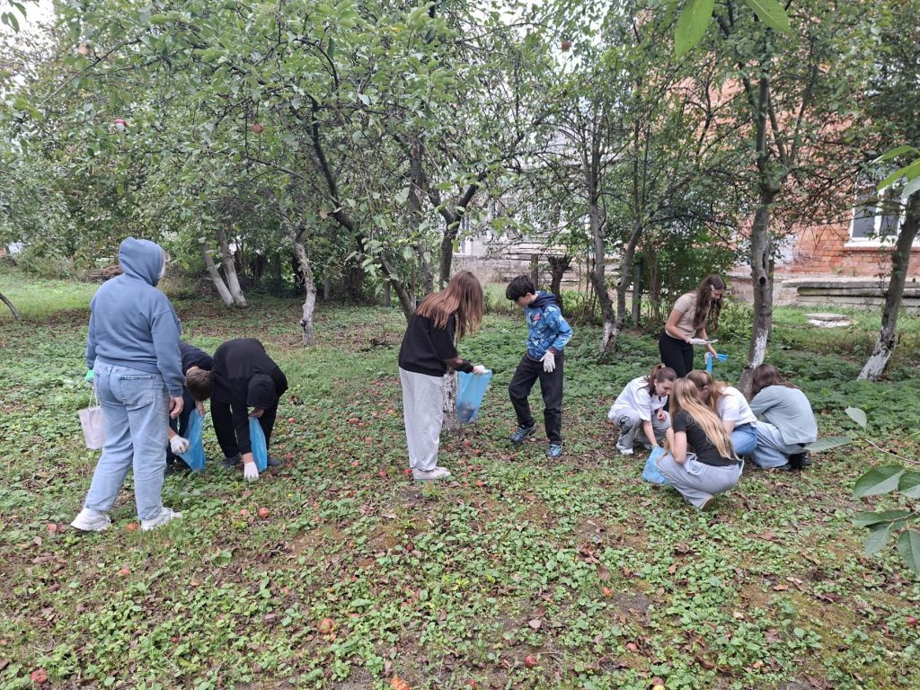 World Cleanup Day изображение_viber_2025-09-19_13-07-50-617