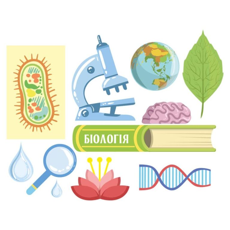 ХТО МОЛОДЦІ? МИ - МОЛОДЦІ! ВОСЬМИКЛАСНИК ЗДОБУВ ІІІ МІСЦЕ НА ОБЛАСНІЙ ОЛІМПІАДІ З БІОЛОГІЇ 413833617_1647882925969003_1777626666246007298_n-1024x1024