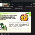 «Відлуння Чорнобиля: наш ліцей на обласному форумі»